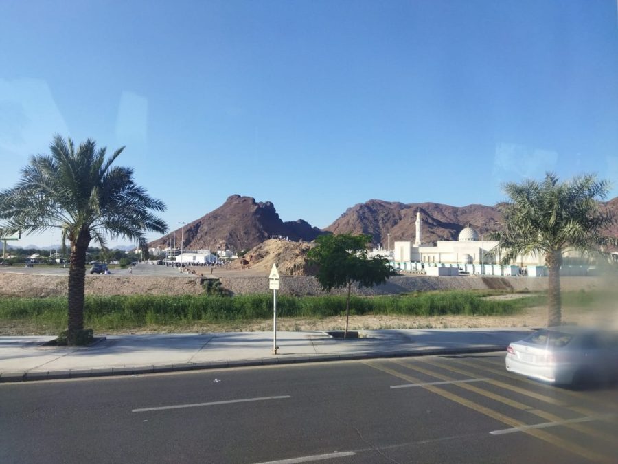 Mount Uhud, the mountain just north of Madinah